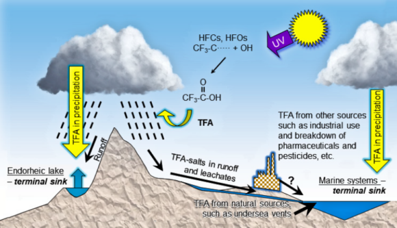 Environmental Effects and Interactions of Stratospheric Ozone Depletion